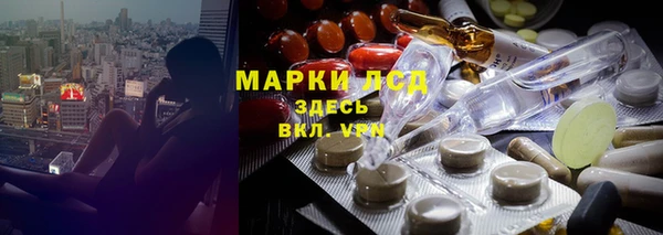 ECSTASY Новодвинск