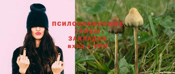 ECSTASY Новодвинск