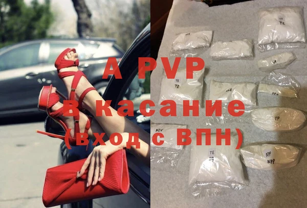 ECSTASY Новодвинск