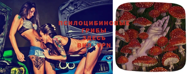 ECSTASY Новодвинск