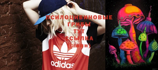 дурь Новокубанск