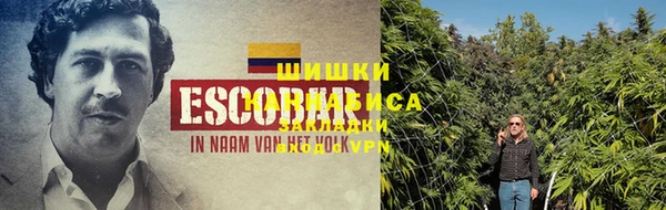 MDMA Premium VHQ Новозыбков