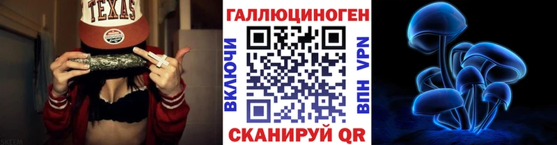 Купить  Таруса  Псилоцибиновые грибы Psilocybe 